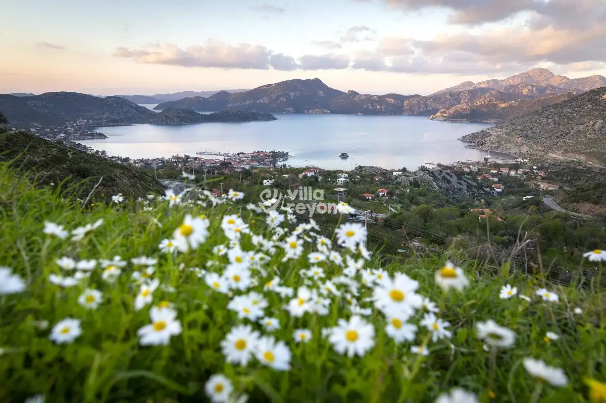 Bozburun Yarımadasının Tepeden Manzarası