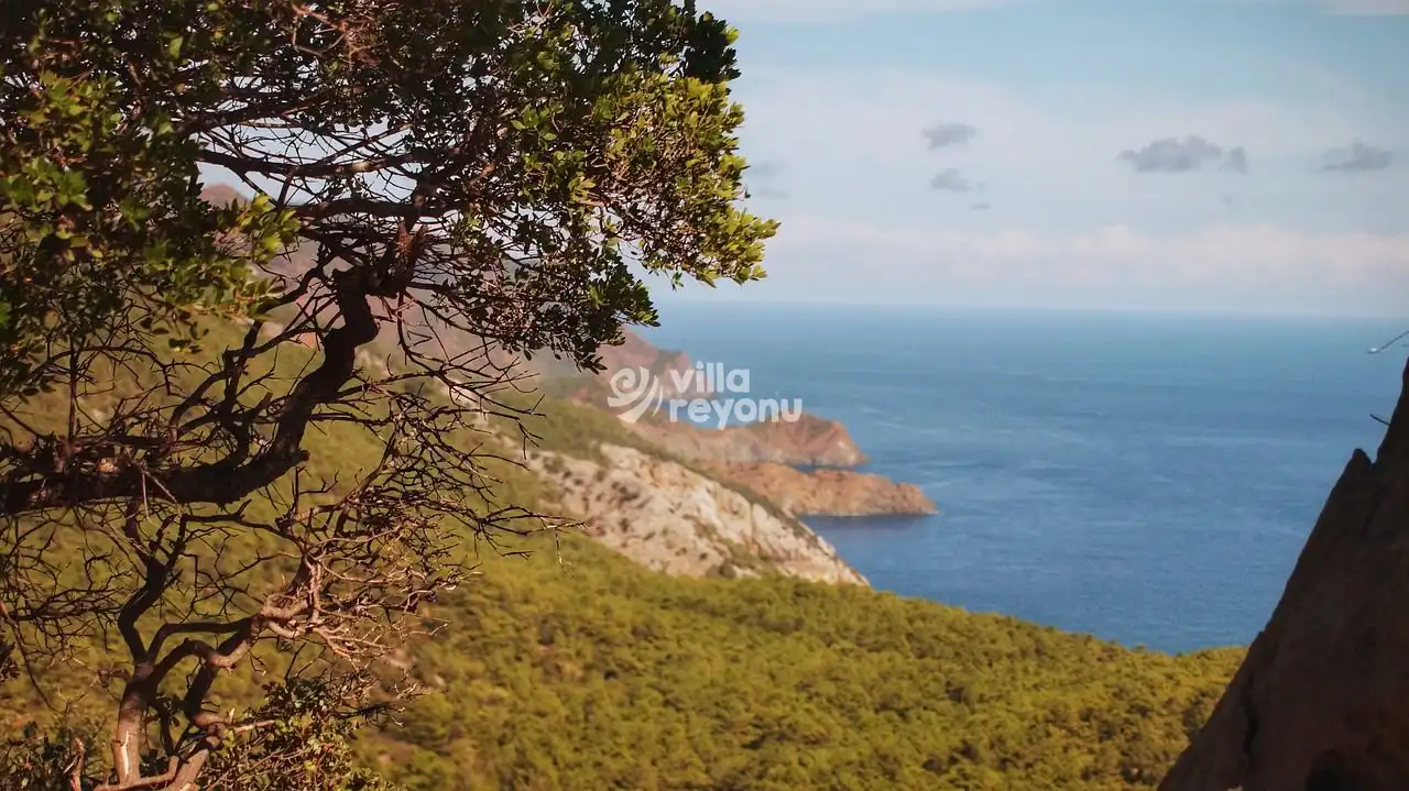 Cennet Koyunun Tepeden Manzarası
