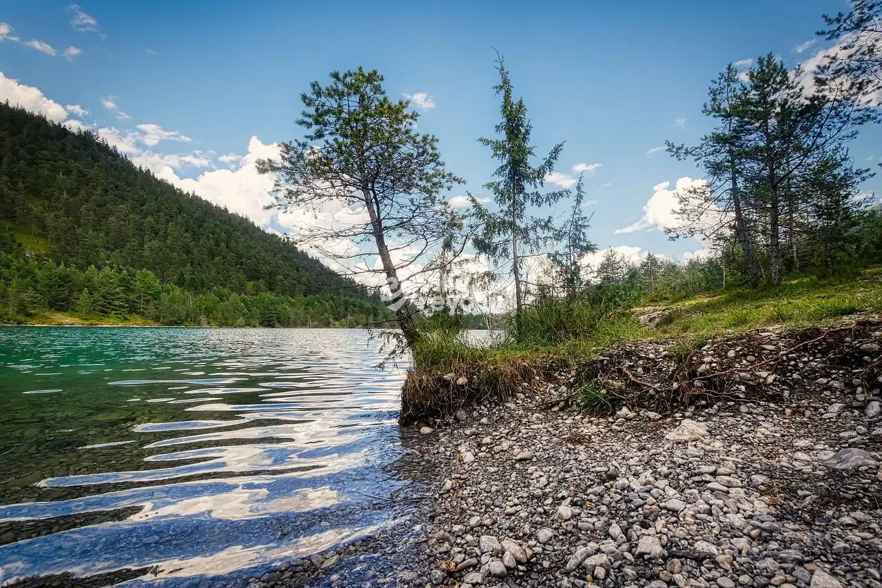 Deniz Kenarı Doğa Manzarası