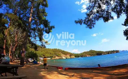 Katrancı koyu görüntüsü ve kamp için harika bir alan