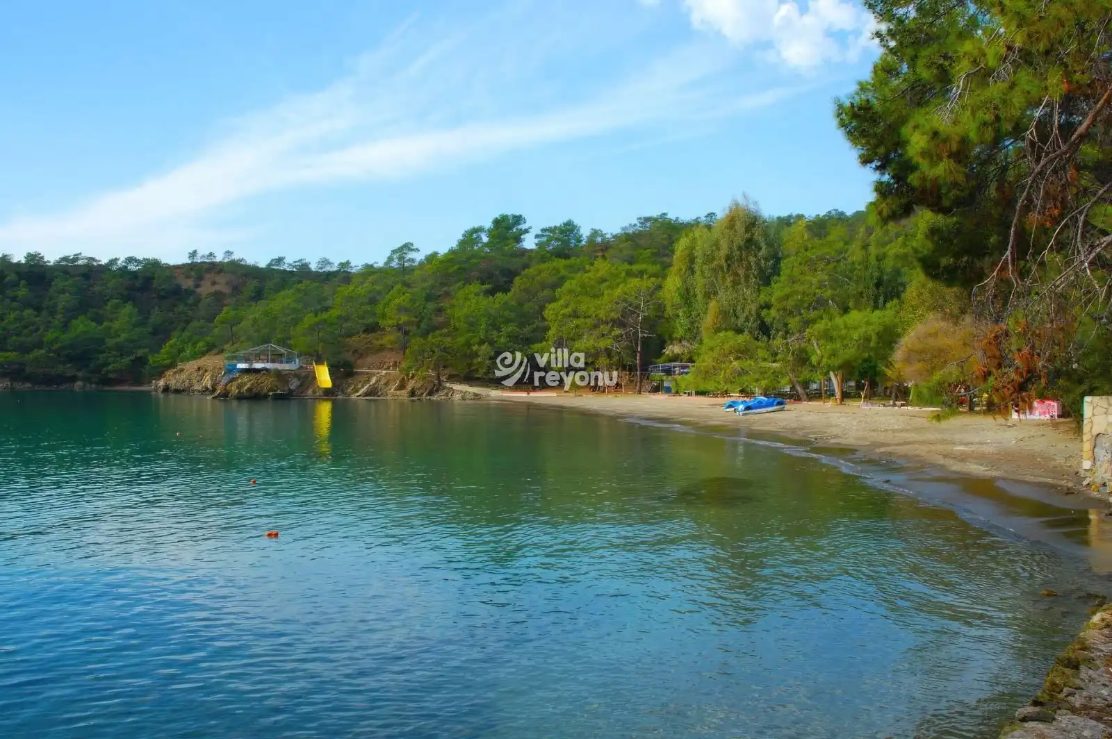katrancı koyunda güneşli mükemmel bir gün