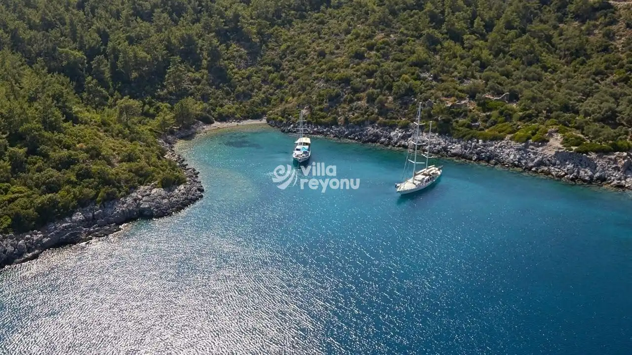 kissebükü koyunun çok güzel bir manzarası