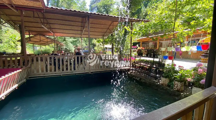 mavilikler içerisinde köyceğiz yuvarlak çay