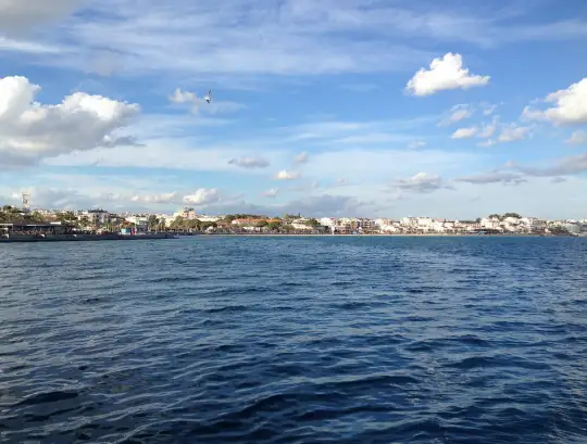 Didim Plaj Rehberi: En Güzel Koylar ve Plajlar